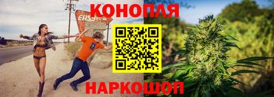 стафф Будённовск