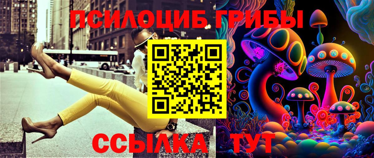 Пенза  Галлюциногенные грибы Cubensis  Вход с VPN 