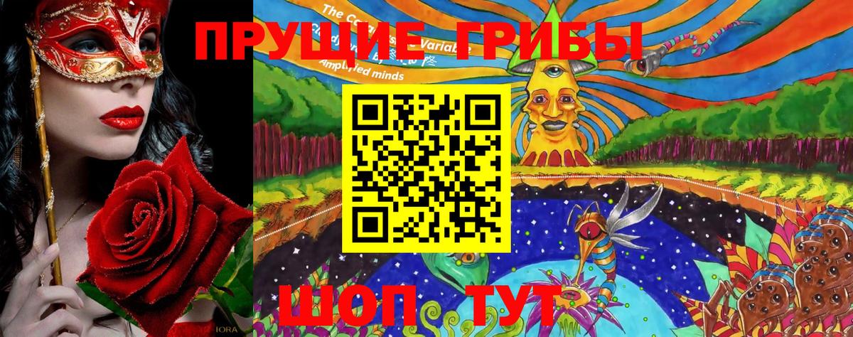 Псилоцибиновые грибы GOLDEN TEACHER Пенза